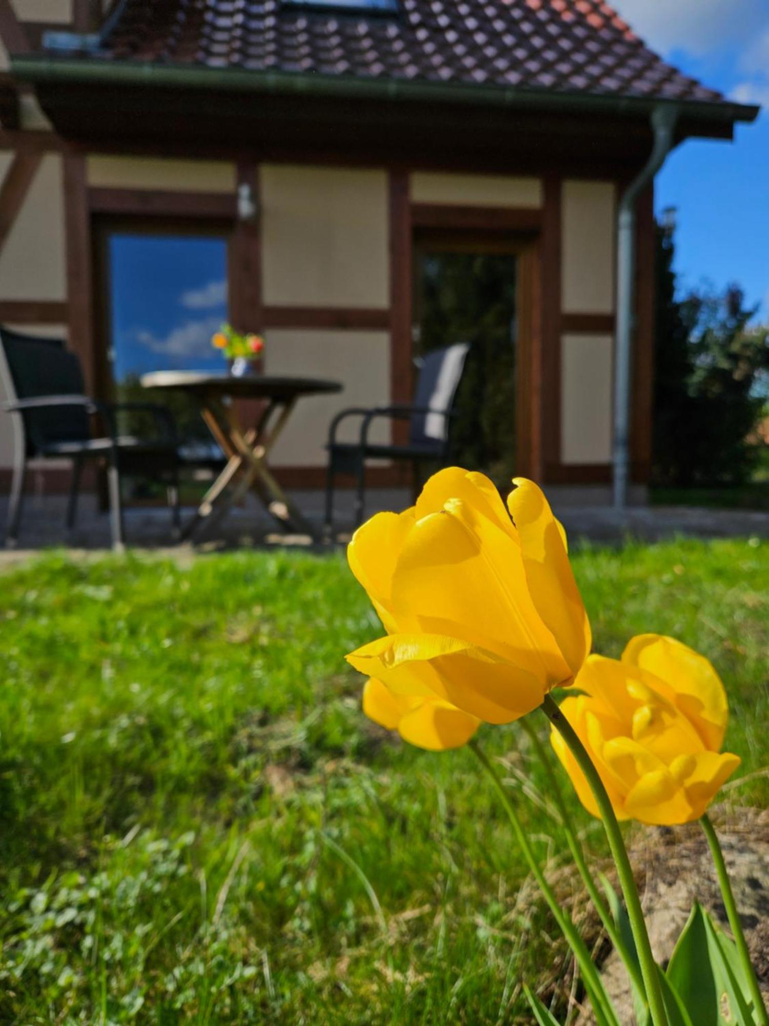 Ferienwohnung Peetsch Am See Mirow Exteriör bild