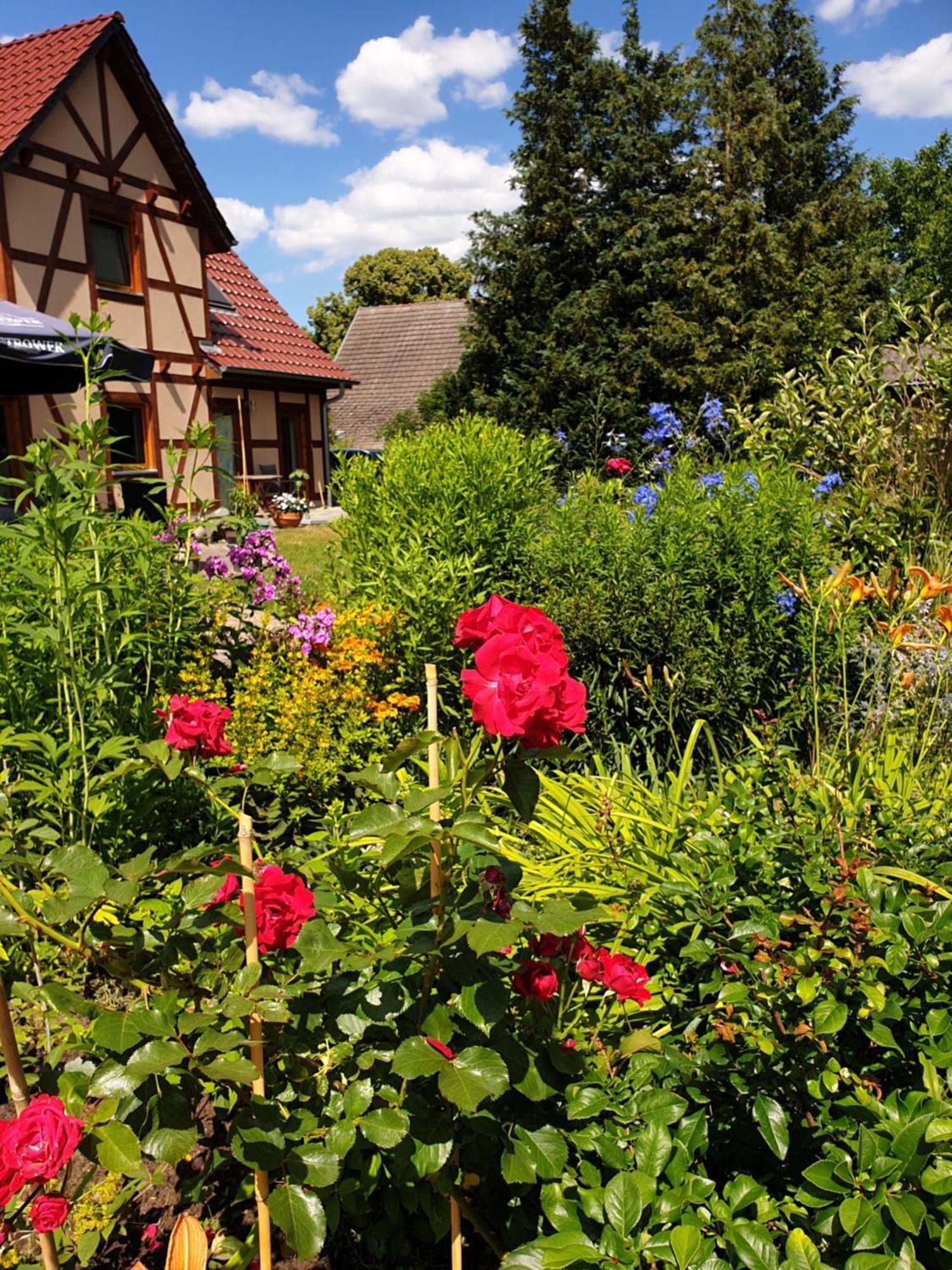 Ferienwohnung Peetsch Am See Mirow Exteriör bild